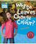 Imagem de WHY DO LEAVES CHANGE COLOUR? - LEVEL 3