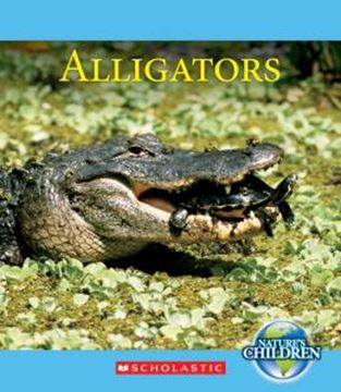 Imagem de ALLIGATORS