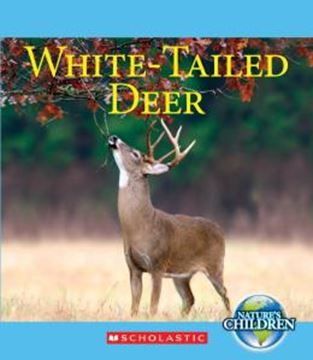 Imagem de WHITE-TAILED DEER