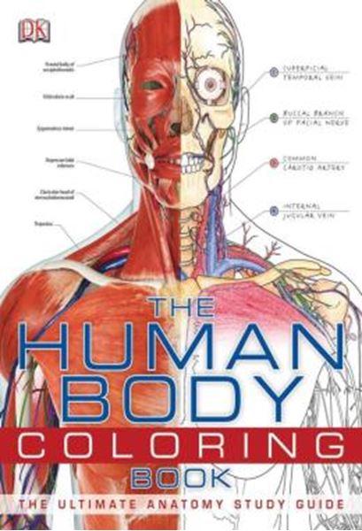 Picture of THE HUMAN BODY COLORING BOOK - THE ULTIMATE ANATOMY STUDY GUIDE