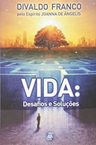 Picture of VIDA - DESAFIOS E SOLUCOES