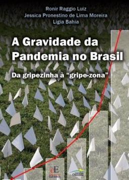 Imagem de A GRAVIDADE DA PANDEMIA NO BRASIL