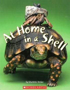Imagem de AT HOME IN A SHELL  
